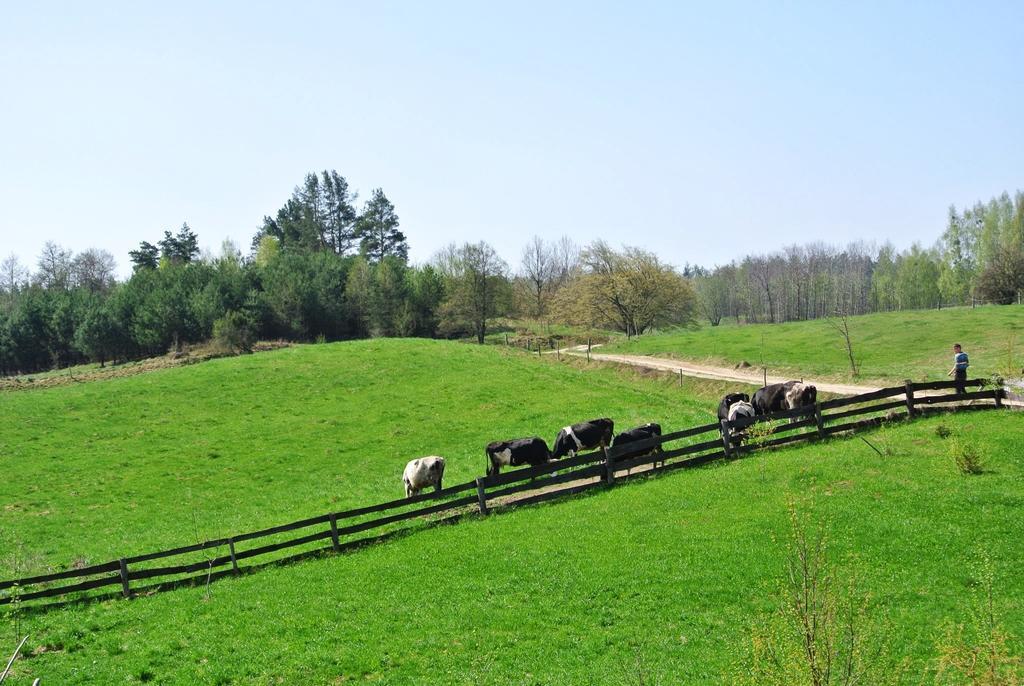 Casa di campagna Jora Siedlisko Jora Wielka